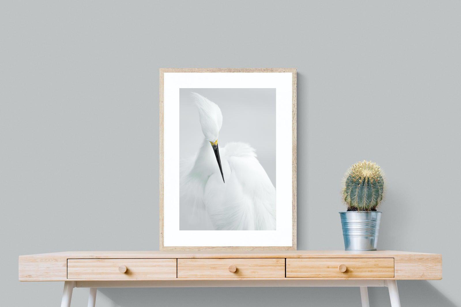 Egret-Wall_Art-60 x 80cm-Framed Print-Wood-Pixalot