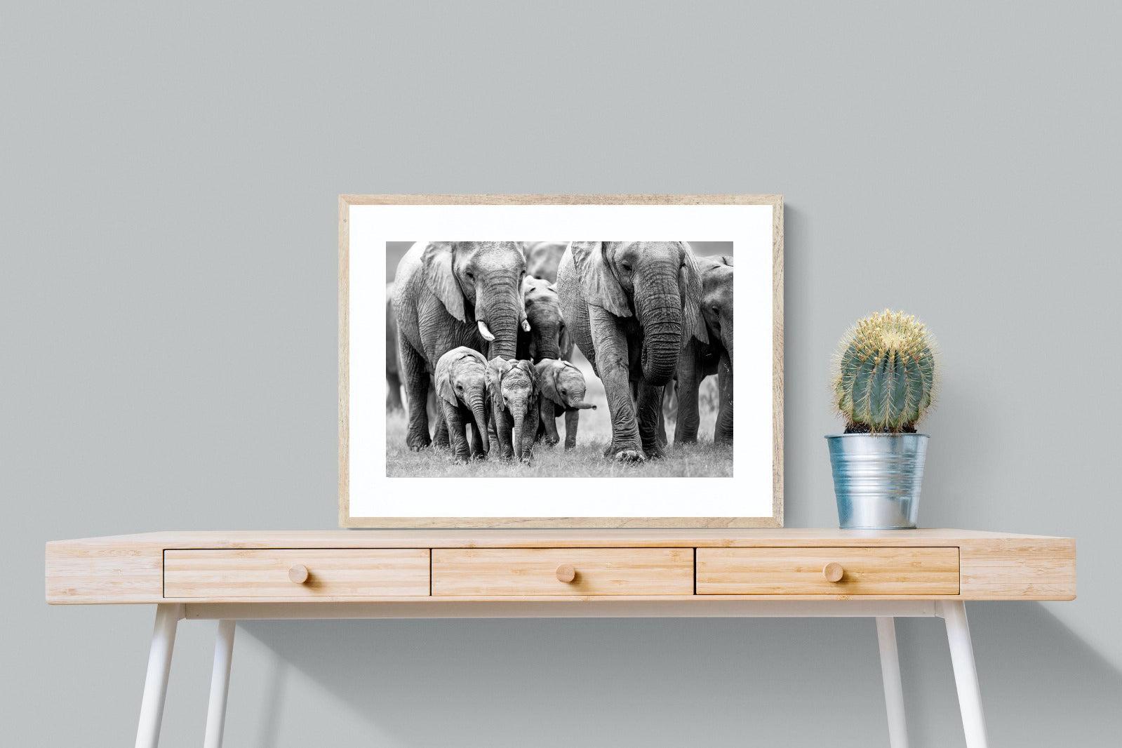 Elephant Family-Wall_Art-80 x 60cm-Framed Print-Wood-Pixalot