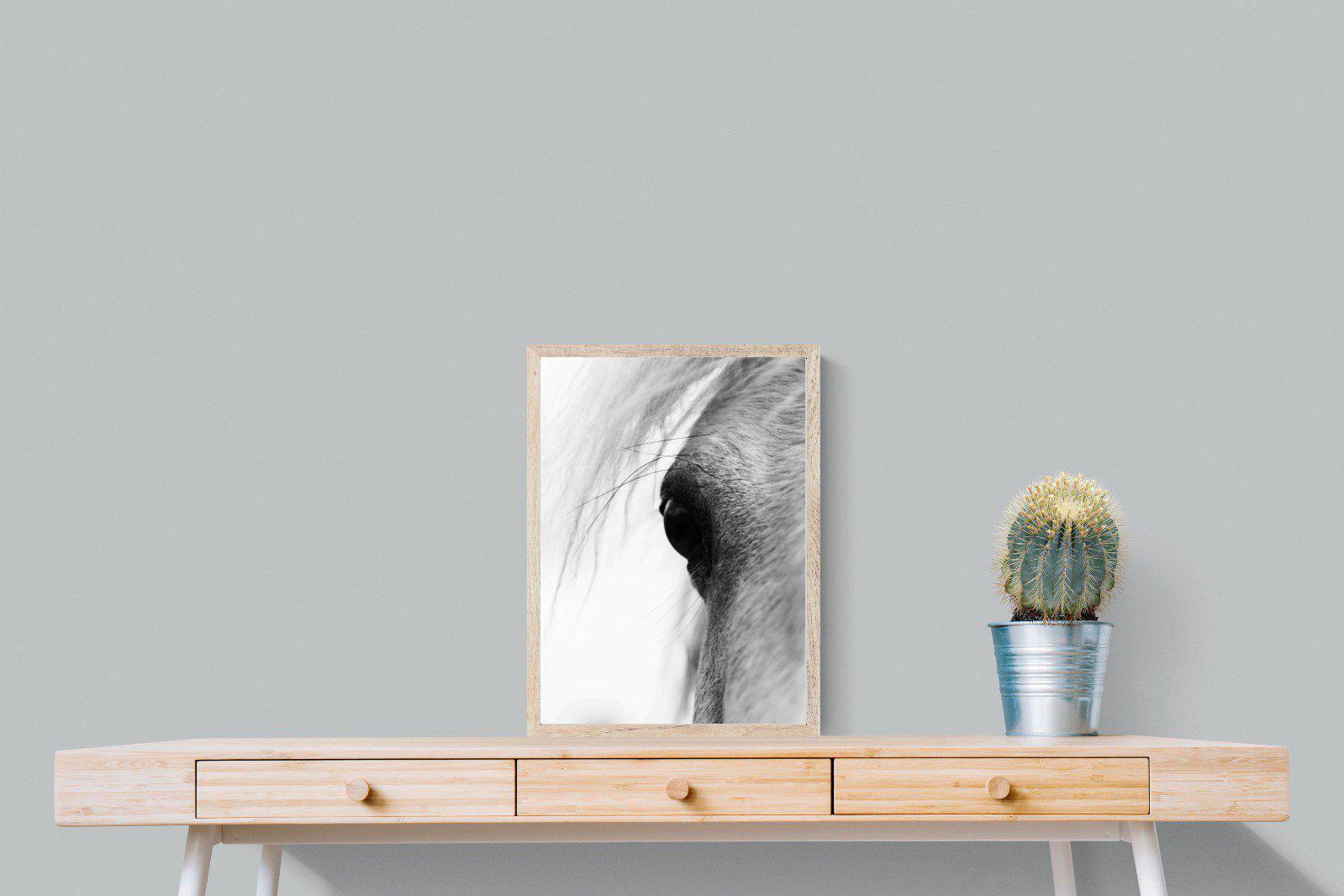 Eye of the Horse-Wall_Art-45 x 60cm-Mounted Canvas-Wood-Pixalot