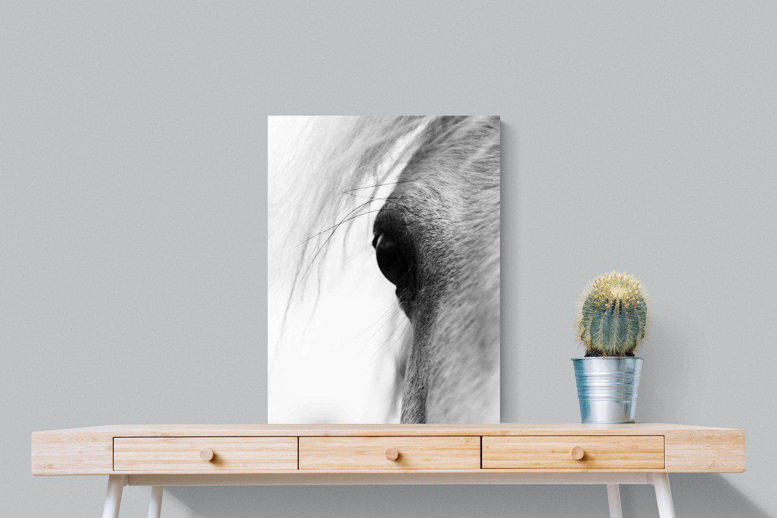 Eye of the Horse-Wall_Art-60 x 80cm-Mounted Canvas-No Frame-Pixalot