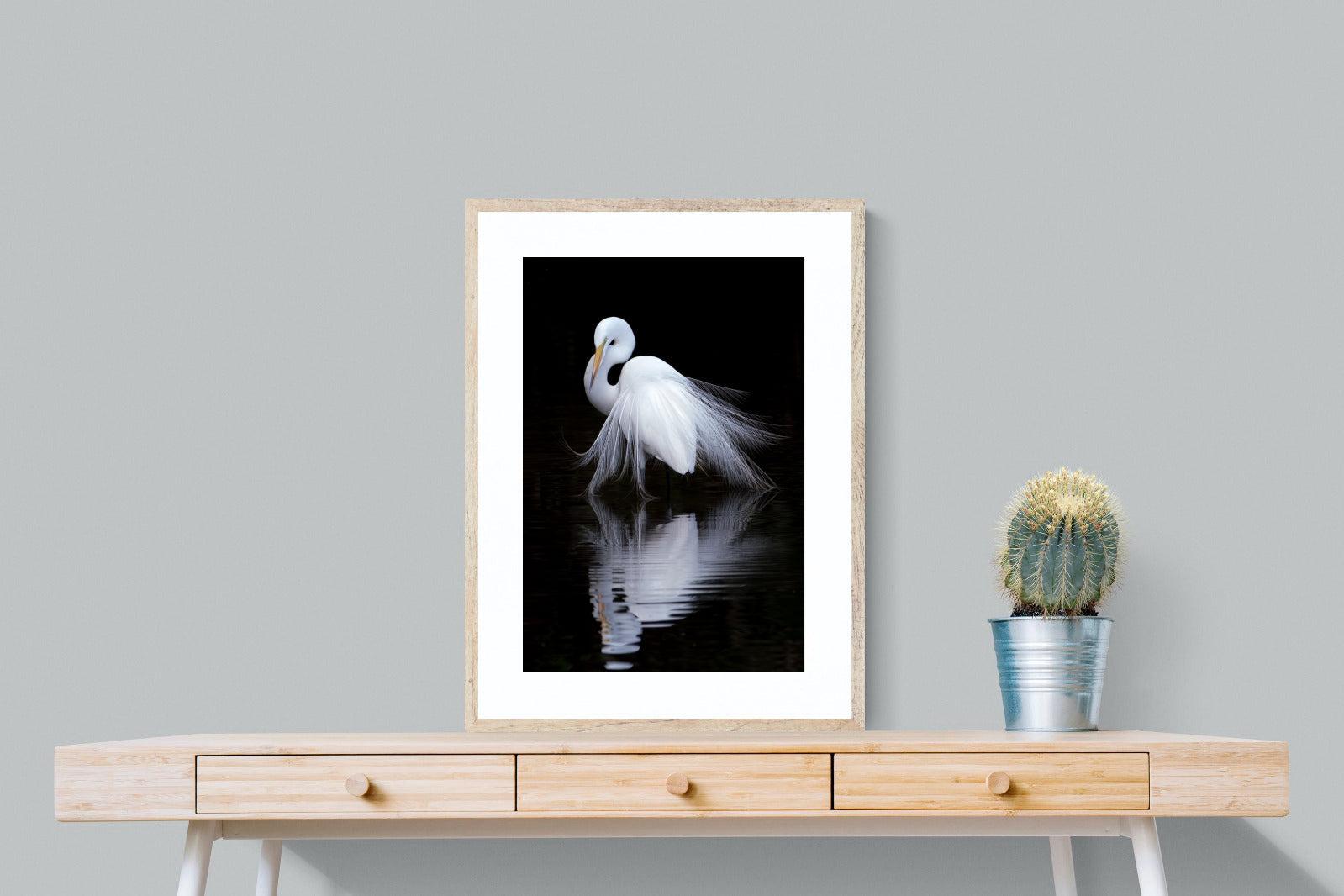 Feathered Reflection-Wall_Art-60 x 80cm-Framed Print-Wood-Pixalot