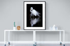 Feathered Reflection-Wall_Art-90 x 120cm-Framed Print-Black-Pixalot