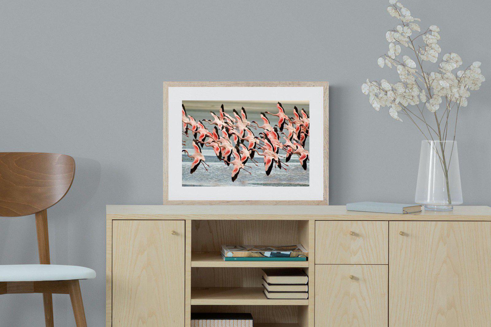 Flamingo Flight-Wall_Art-60 x 45cm-Framed Print-Wood-Pixalot