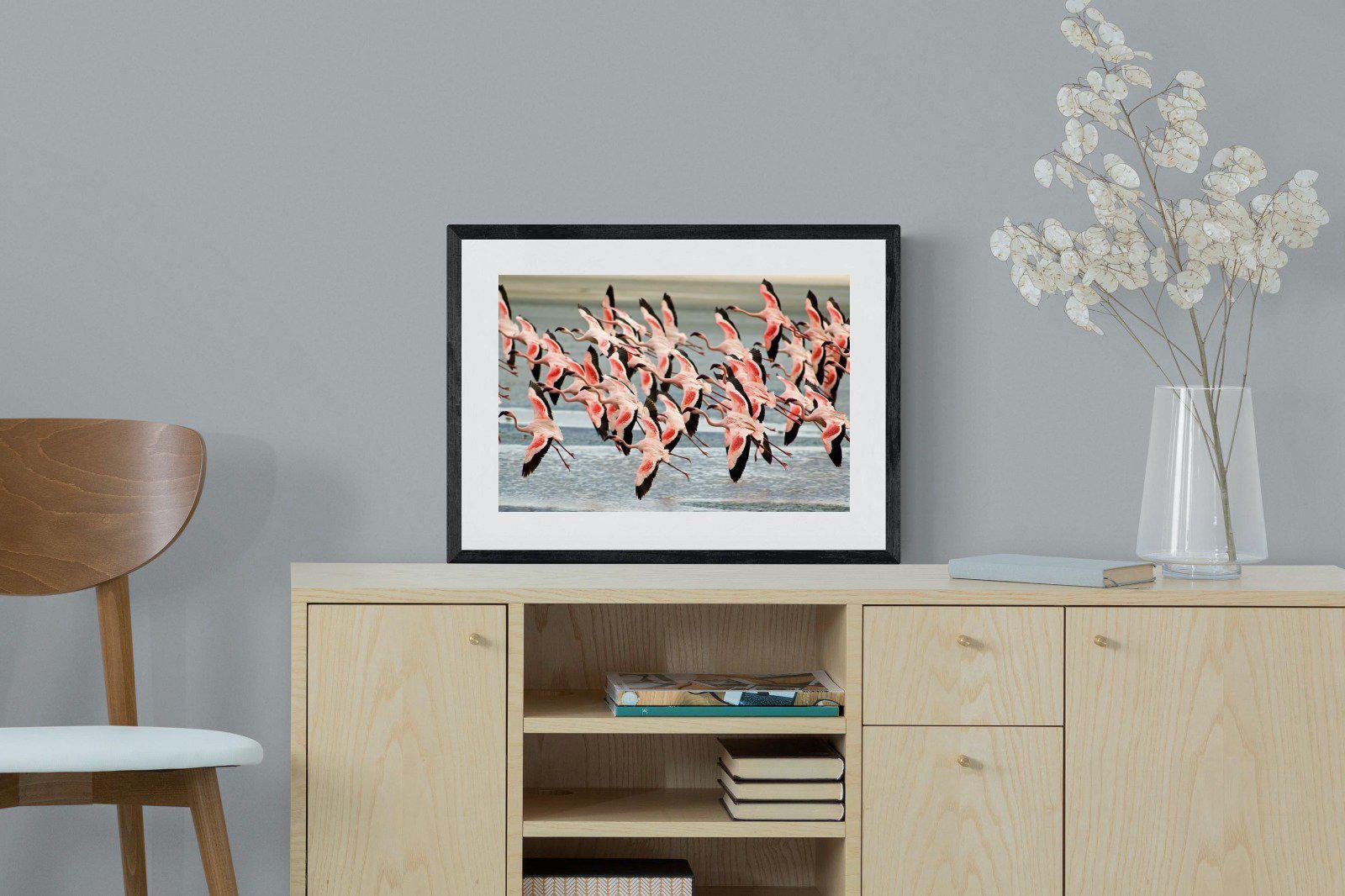 Flamingo Flight-Wall_Art-60 x 45cm-Framed Print-Black-Pixalot