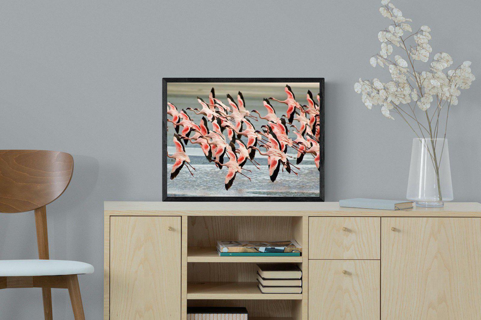 Flamingo Flight-Wall_Art-60 x 45cm-Mounted Canvas-Black-Pixalot