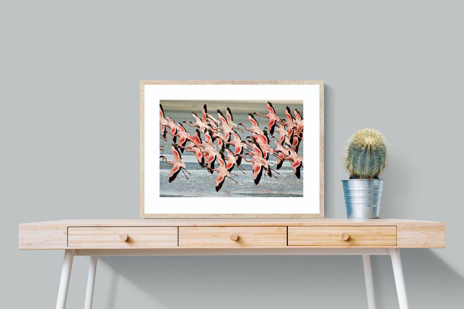 Flamingo Flight-Wall_Art-80 x 60cm-Framed Print-Wood-Pixalot