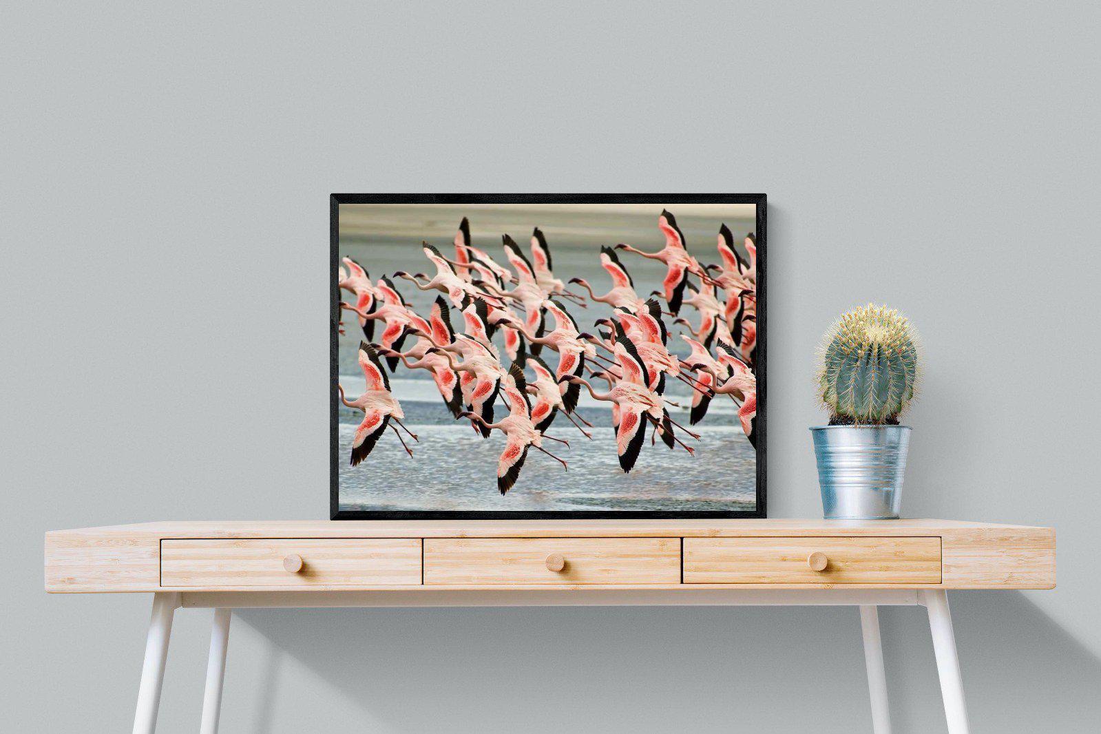 Flamingo Flight-Wall_Art-80 x 60cm-Mounted Canvas-Black-Pixalot