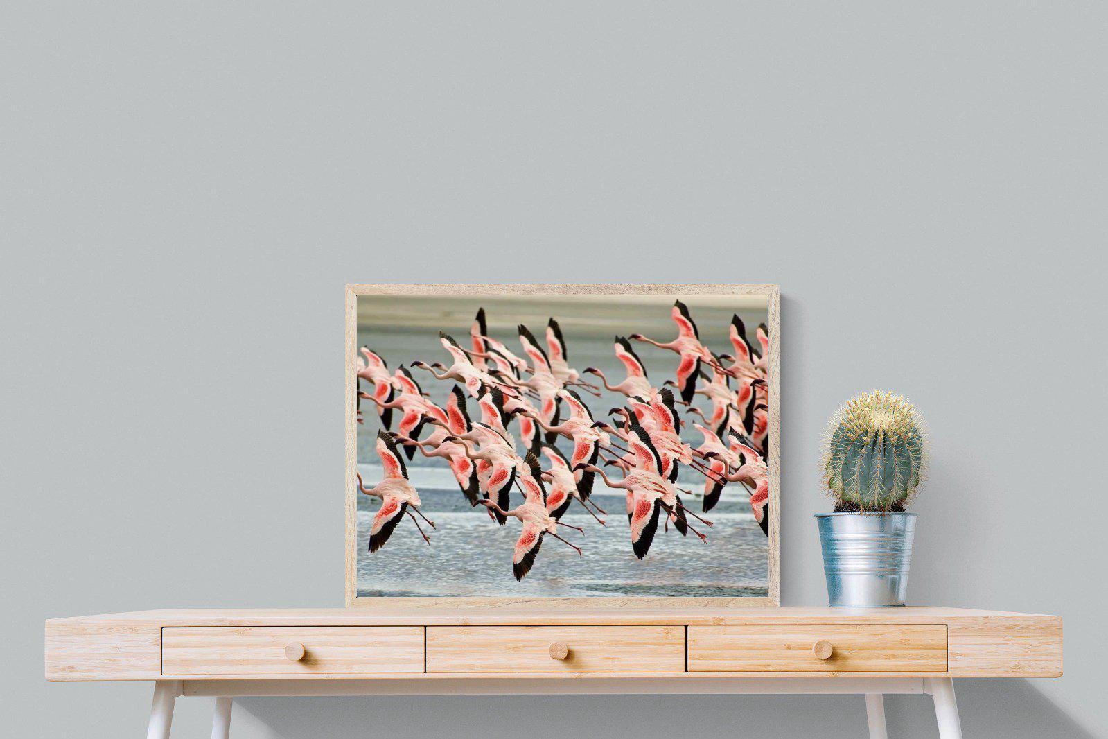 Flamingo Flight-Wall_Art-80 x 60cm-Mounted Canvas-Wood-Pixalot