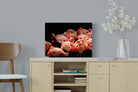 Flamingo Flock-Wall_Art-60 x 45cm-Mounted Canvas-No Frame-Pixalot