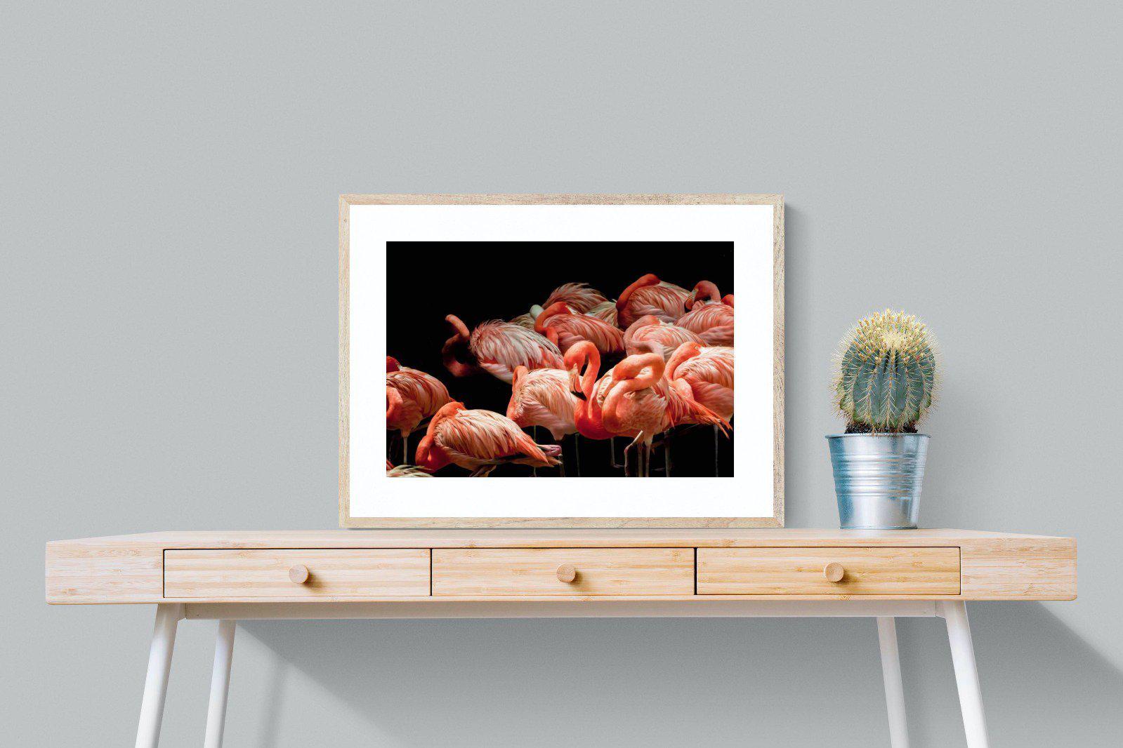 Flamingo Flock-Wall_Art-80 x 60cm-Framed Print-Wood-Pixalot