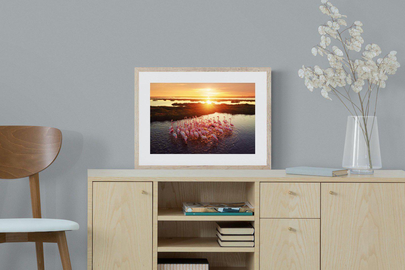 Flamingos-Wall_Art-60 x 45cm-Framed Print-Wood-Pixalot