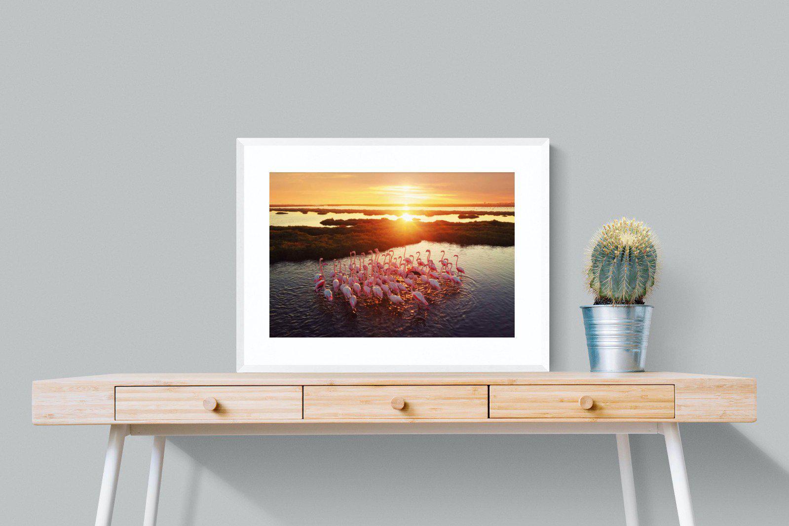Flamingos-Wall_Art-80 x 60cm-Framed Print-White-Pixalot