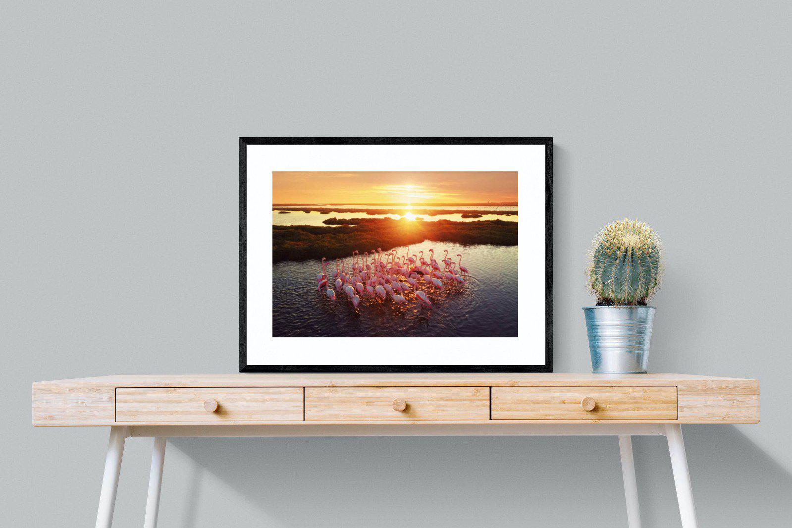 Flamingos-Wall_Art-80 x 60cm-Framed Print-Black-Pixalot