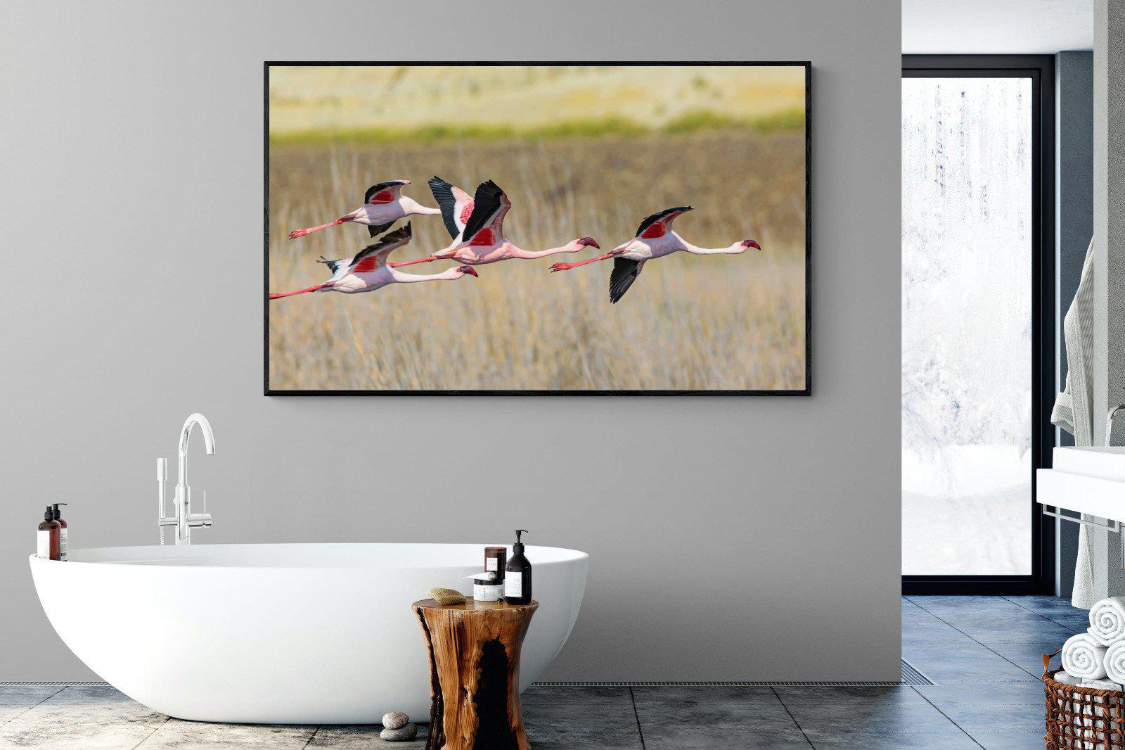 Flying Flamingos-Wall_Art-180 x 110cm-Mounted Canvas-Black-Pixalot
