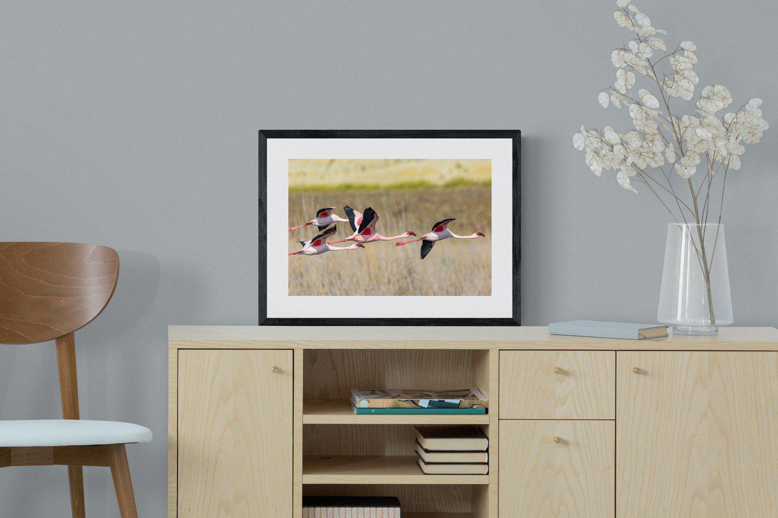 Flying Flamingos-Wall_Art-60 x 45cm-Framed Print-Black-Pixalot