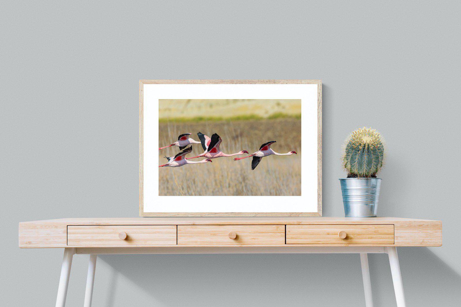 Flying Flamingos-Wall_Art-80 x 60cm-Framed Print-Wood-Pixalot