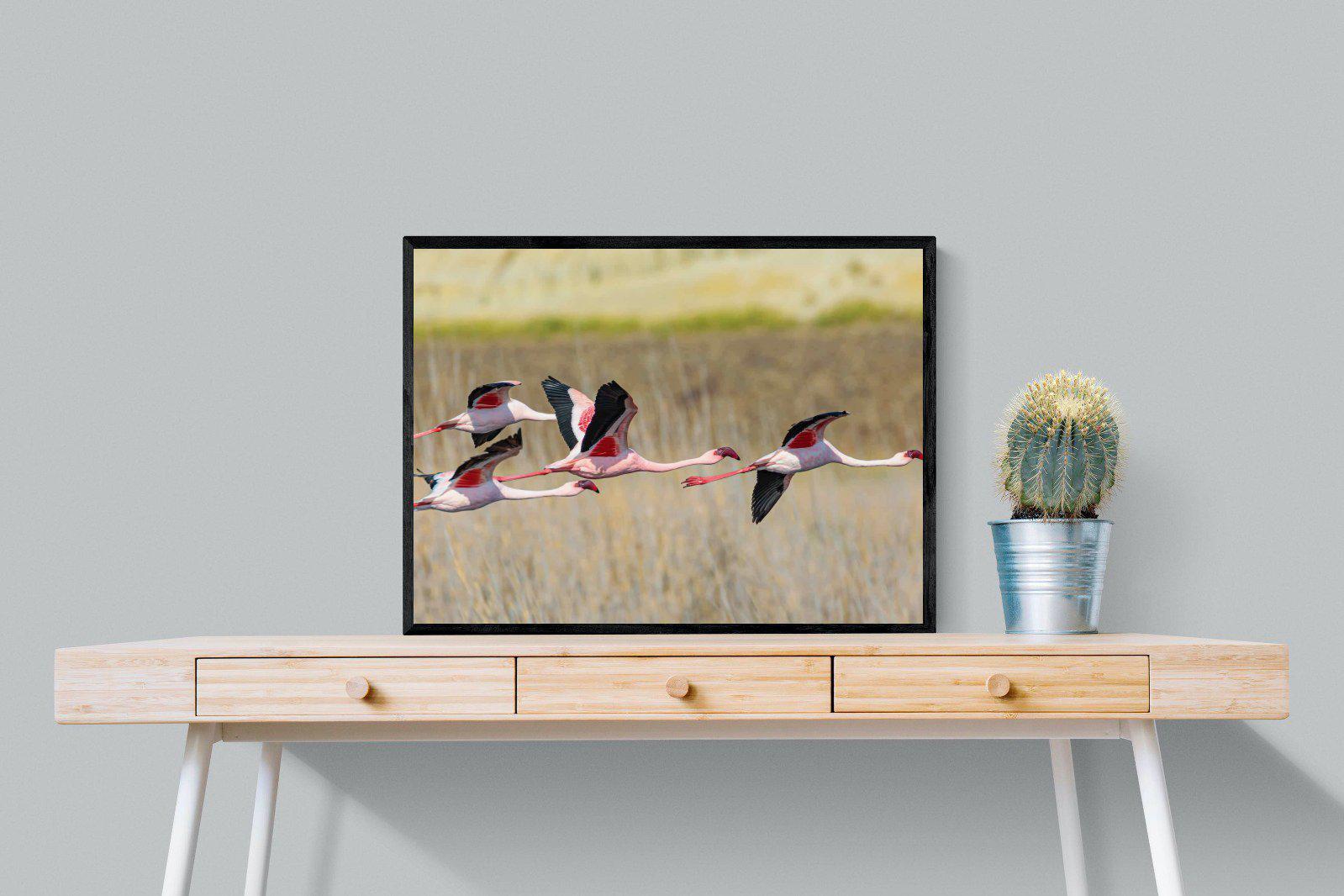 Flying Flamingos-Wall_Art-80 x 60cm-Mounted Canvas-Black-Pixalot