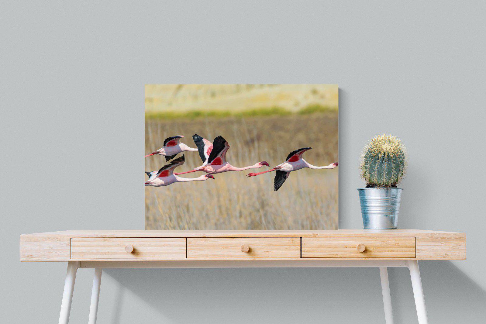 Flying Flamingos-Wall_Art-80 x 60cm-Mounted Canvas-No Frame-Pixalot