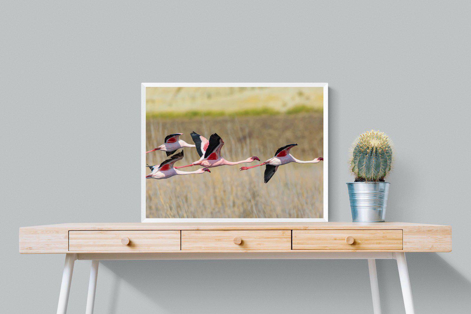 Flying Flamingos-Wall_Art-80 x 60cm-Mounted Canvas-White-Pixalot