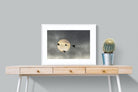 Flying High-Wall_Art-80 x 60cm-Framed Print-White-Pixalot