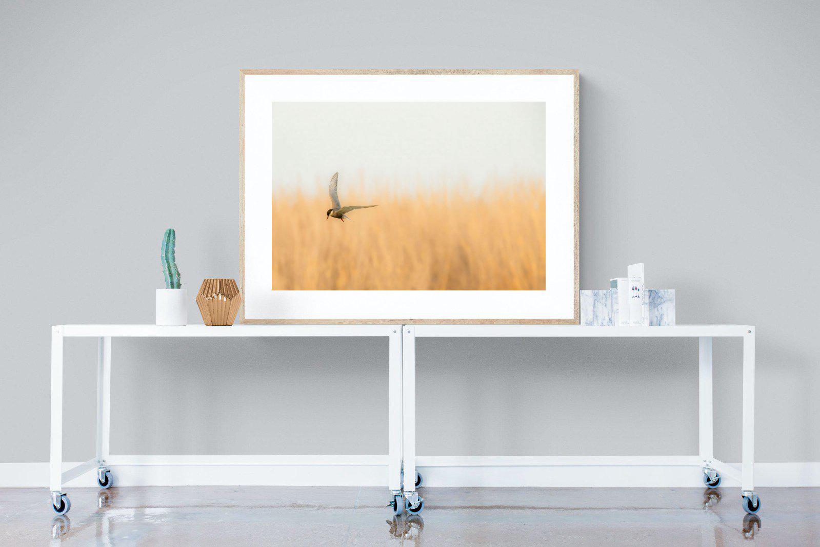 Focused-Wall_Art-120 x 90cm-Framed Print-Wood-Pixalot