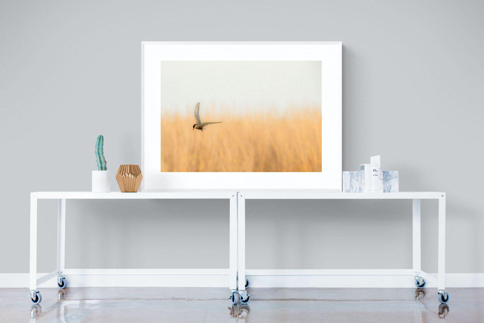 Focused-Wall_Art-120 x 90cm-Framed Print-White-Pixalot
