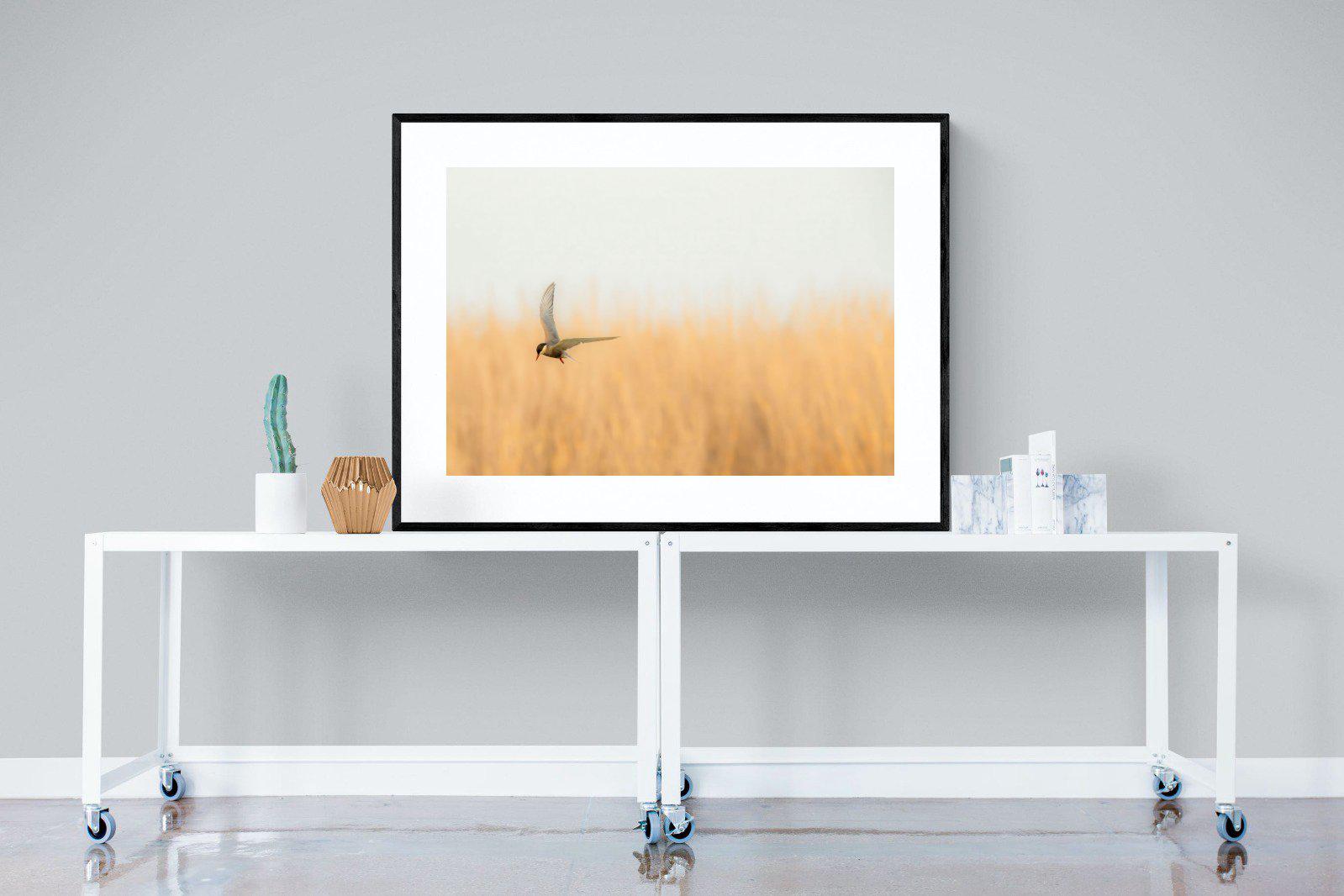 Focused-Wall_Art-120 x 90cm-Framed Print-Black-Pixalot