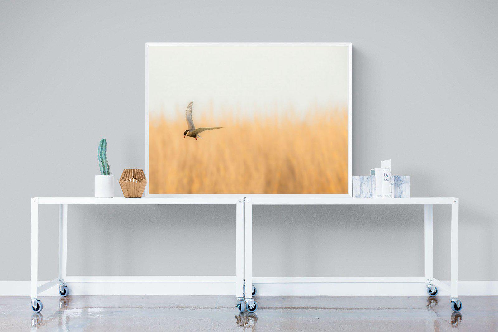 Focused-Wall_Art-120 x 90cm-Mounted Canvas-White-Pixalot