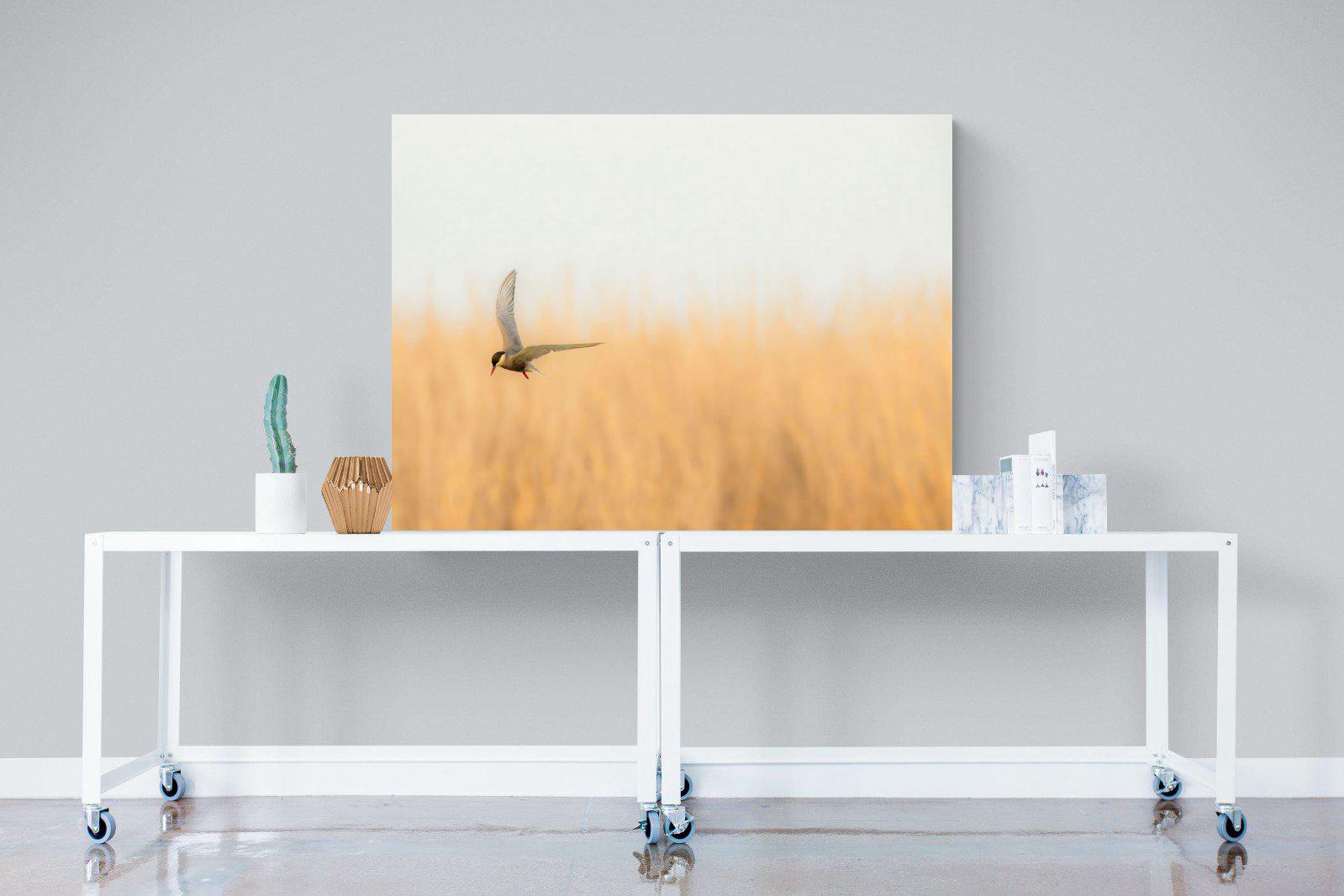 Focused-Wall_Art-120 x 90cm-Mounted Canvas-No Frame-Pixalot