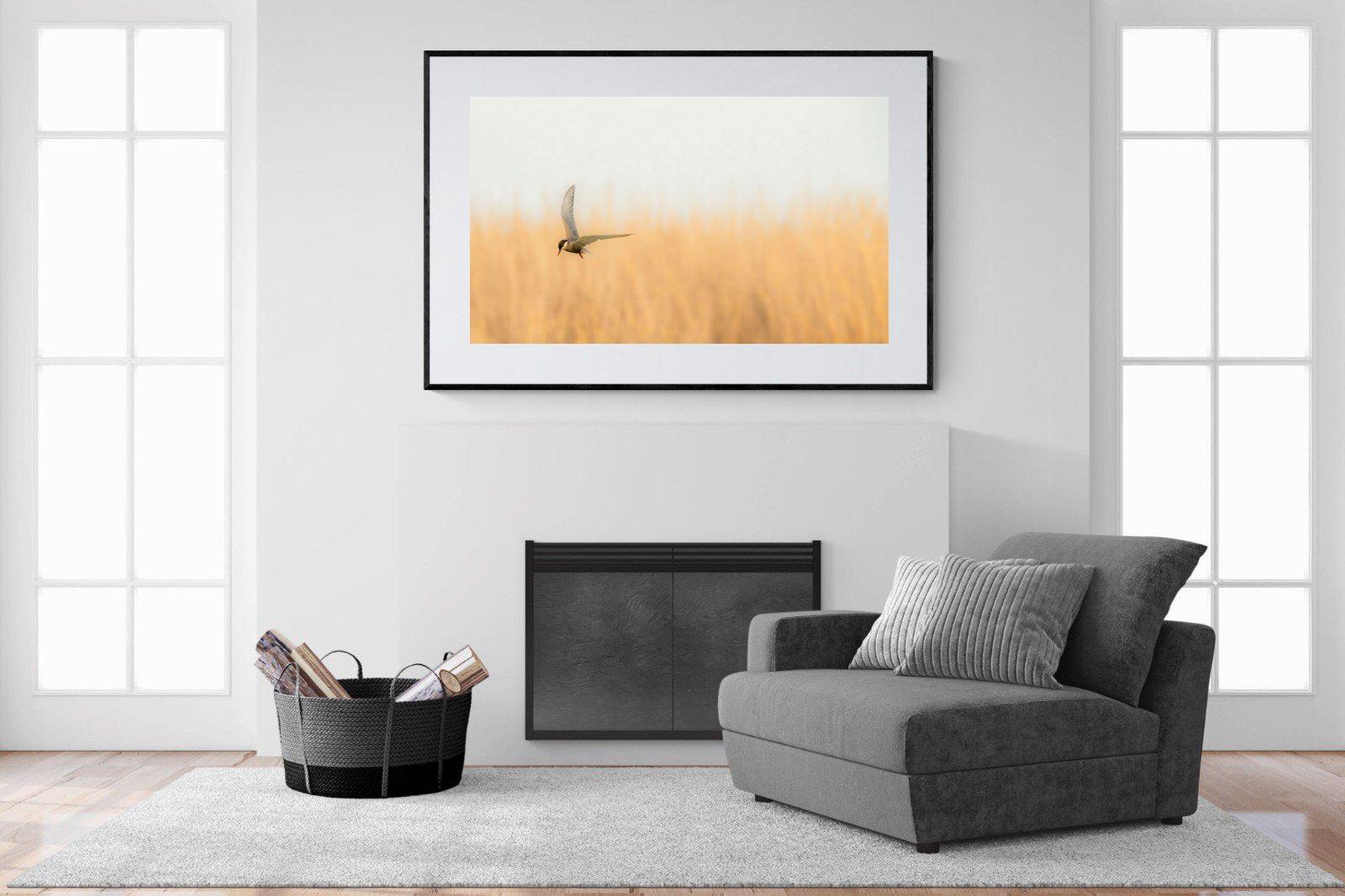 Focused-Wall_Art-150 x 100cm-Framed Print-Black-Pixalot