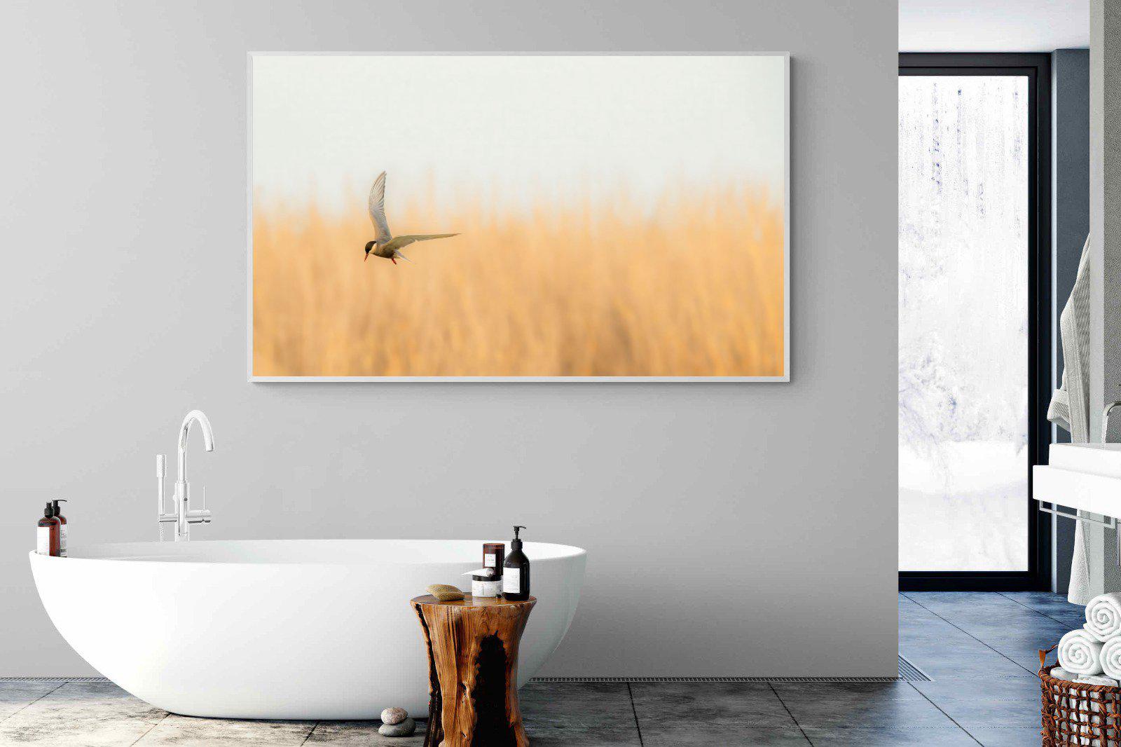 Focused-Wall_Art-180 x 110cm-Mounted Canvas-White-Pixalot