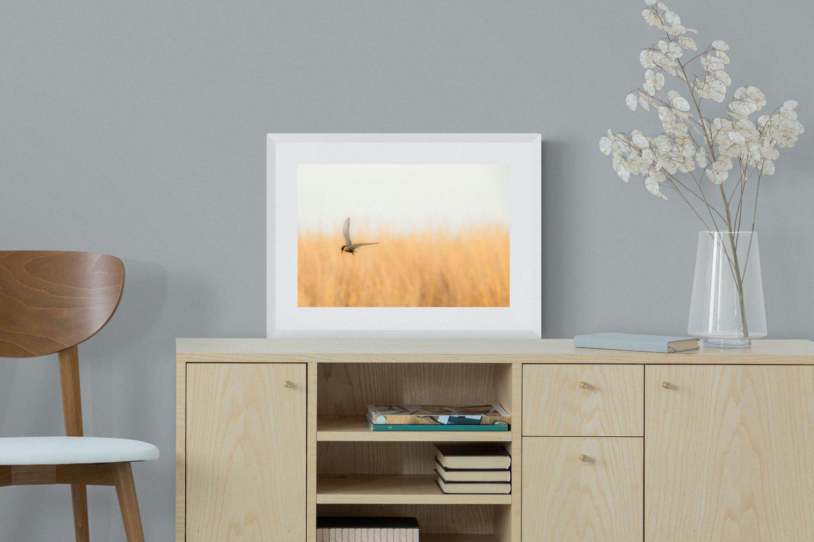 Focused-Wall_Art-60 x 45cm-Framed Print-White-Pixalot