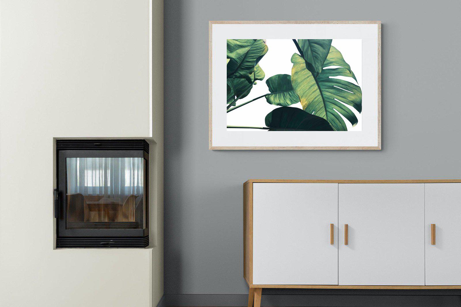 Frond & Light-Wall_Art-100 x 75cm-Framed Print-Wood-Pixalot