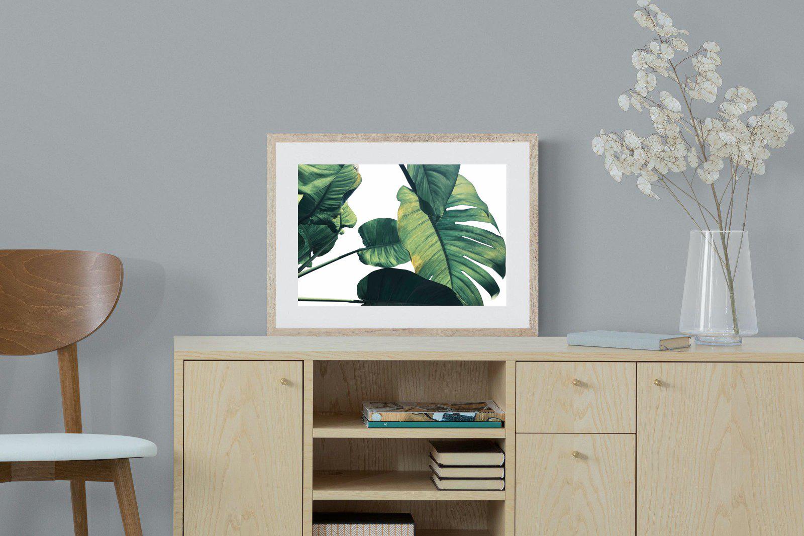 Frond & Light-Wall_Art-60 x 45cm-Framed Print-Wood-Pixalot