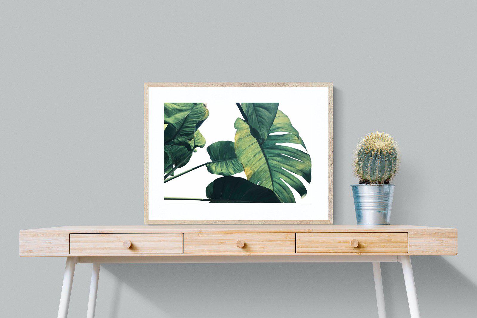 Frond & Light-Wall_Art-80 x 60cm-Framed Print-Wood-Pixalot