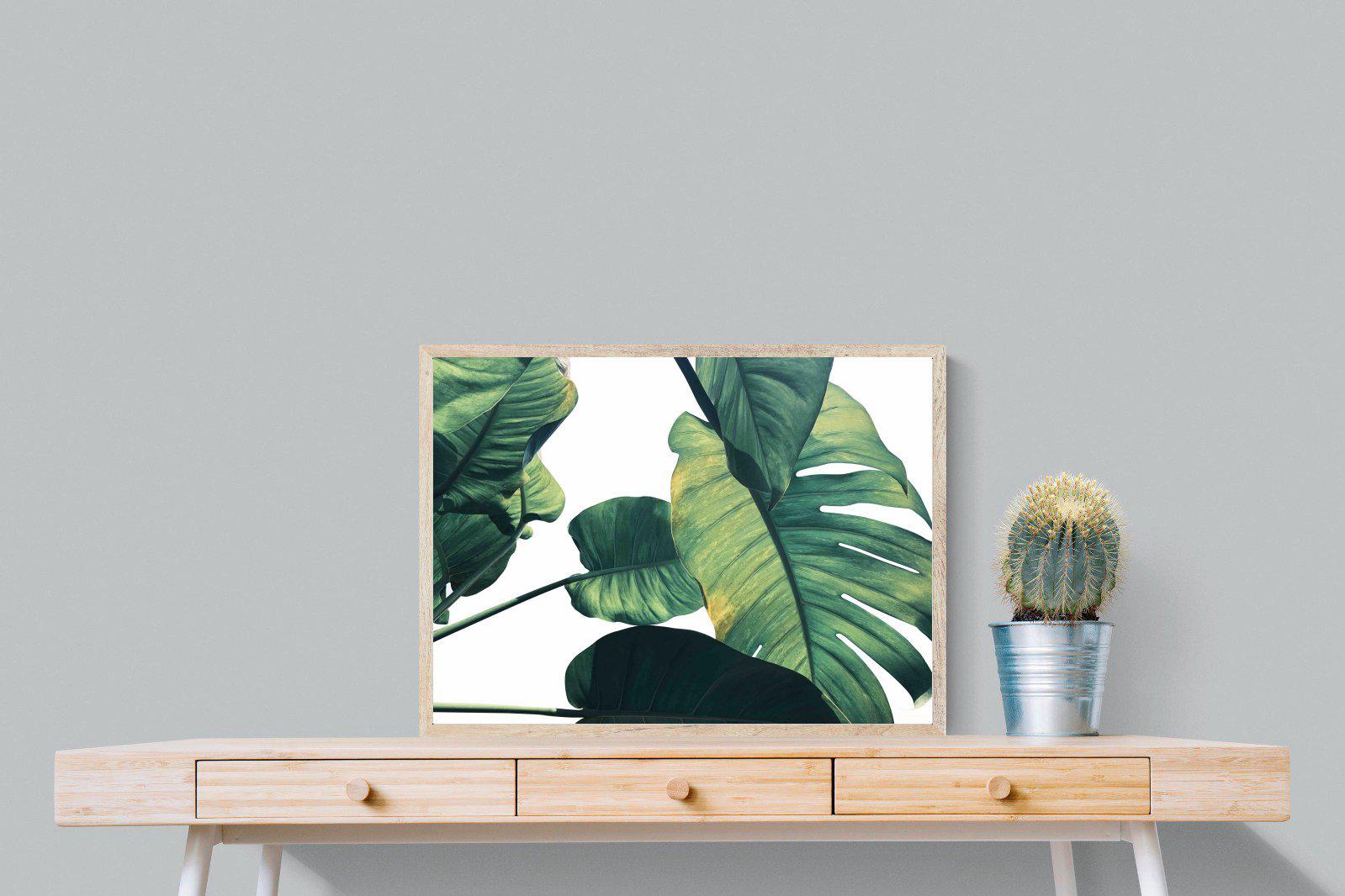 Frond & Light-Wall_Art-80 x 60cm-Mounted Canvas-Wood-Pixalot