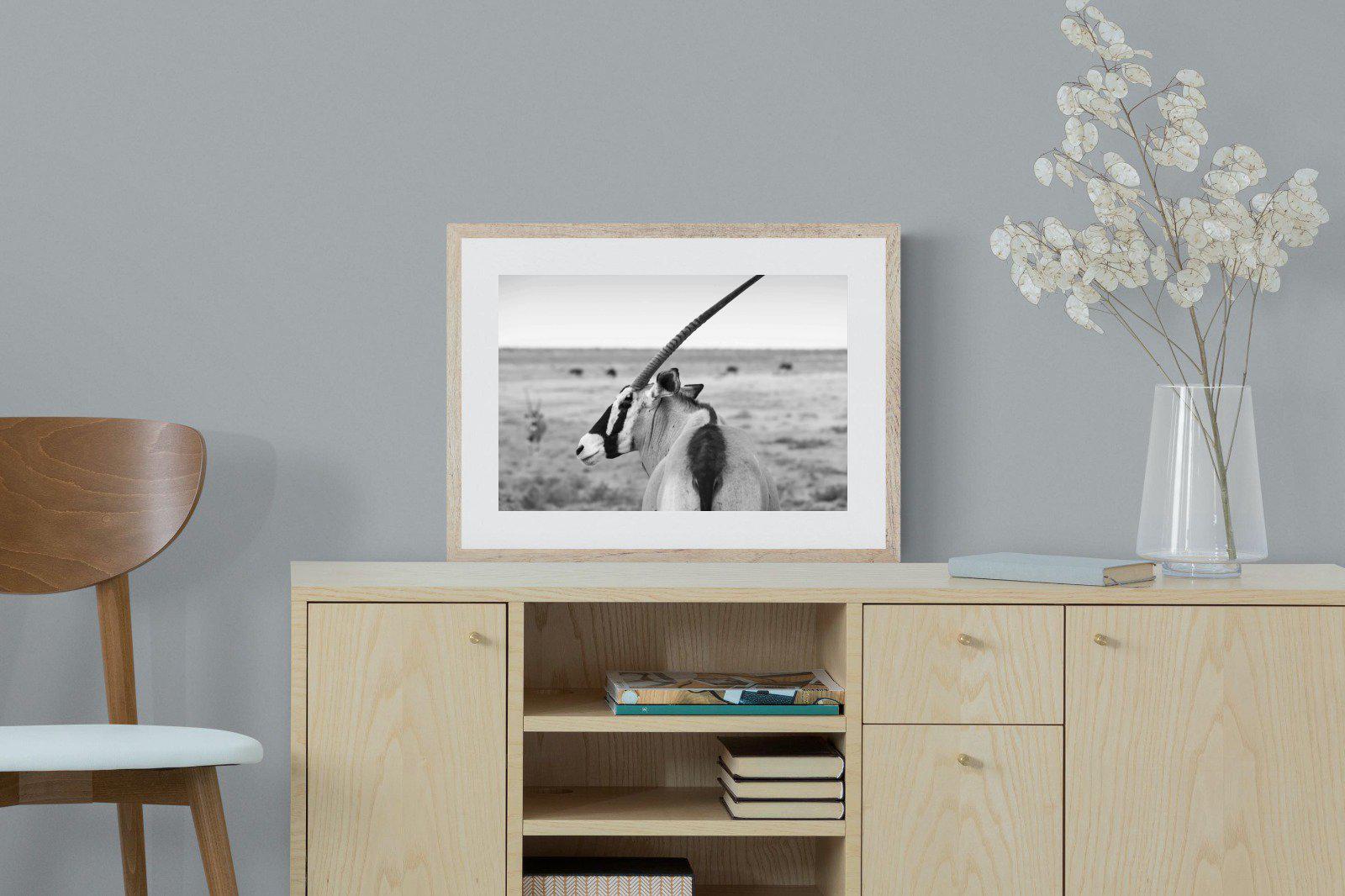 Gemsbok-Wall_Art-60 x 45cm-Framed Print-Wood-Pixalot