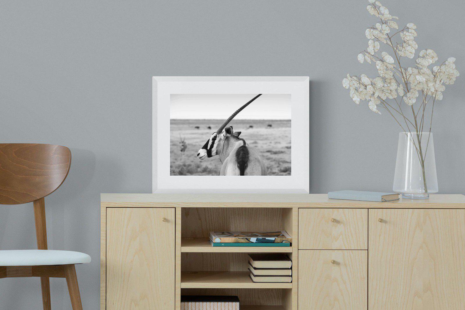 Gemsbok-Wall_Art-60 x 45cm-Framed Print-White-Pixalot
