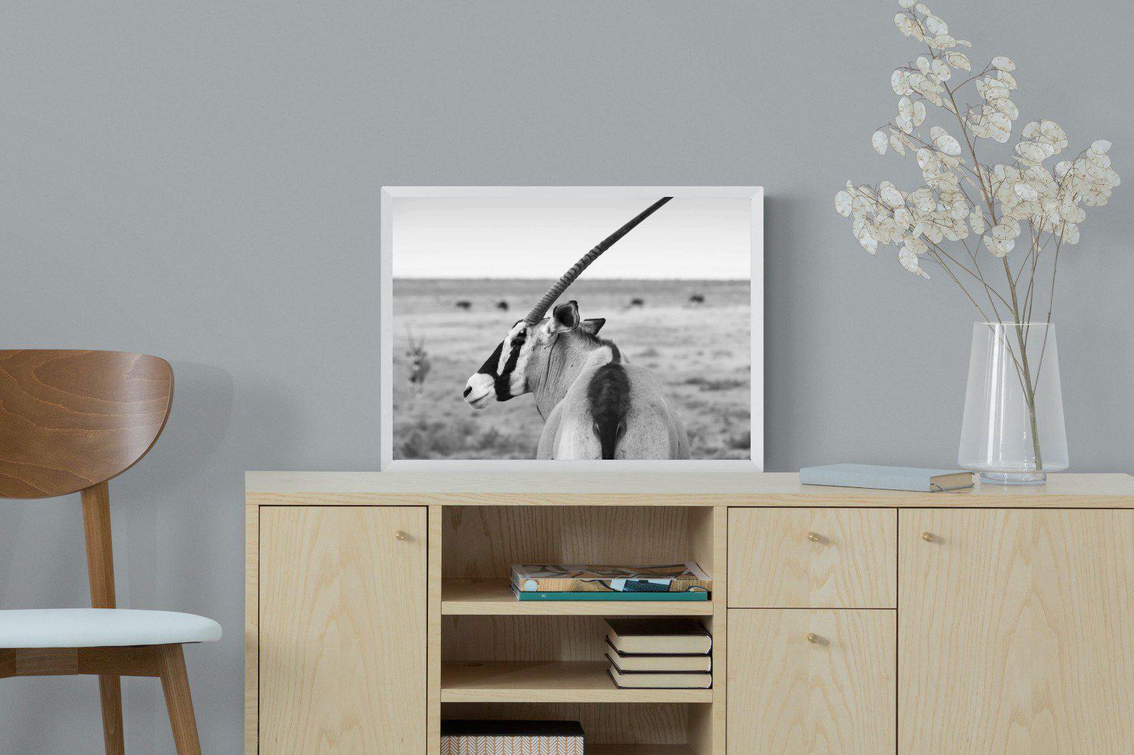 Gemsbok-Wall_Art-60 x 45cm-Mounted Canvas-White-Pixalot