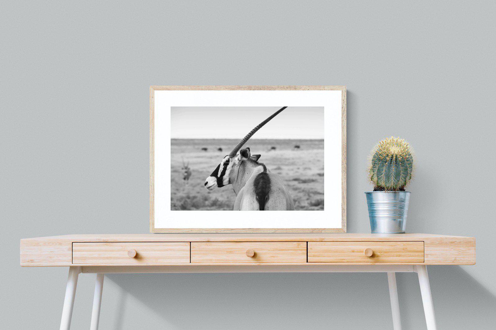 Gemsbok-Wall_Art-80 x 60cm-Framed Print-Wood-Pixalot