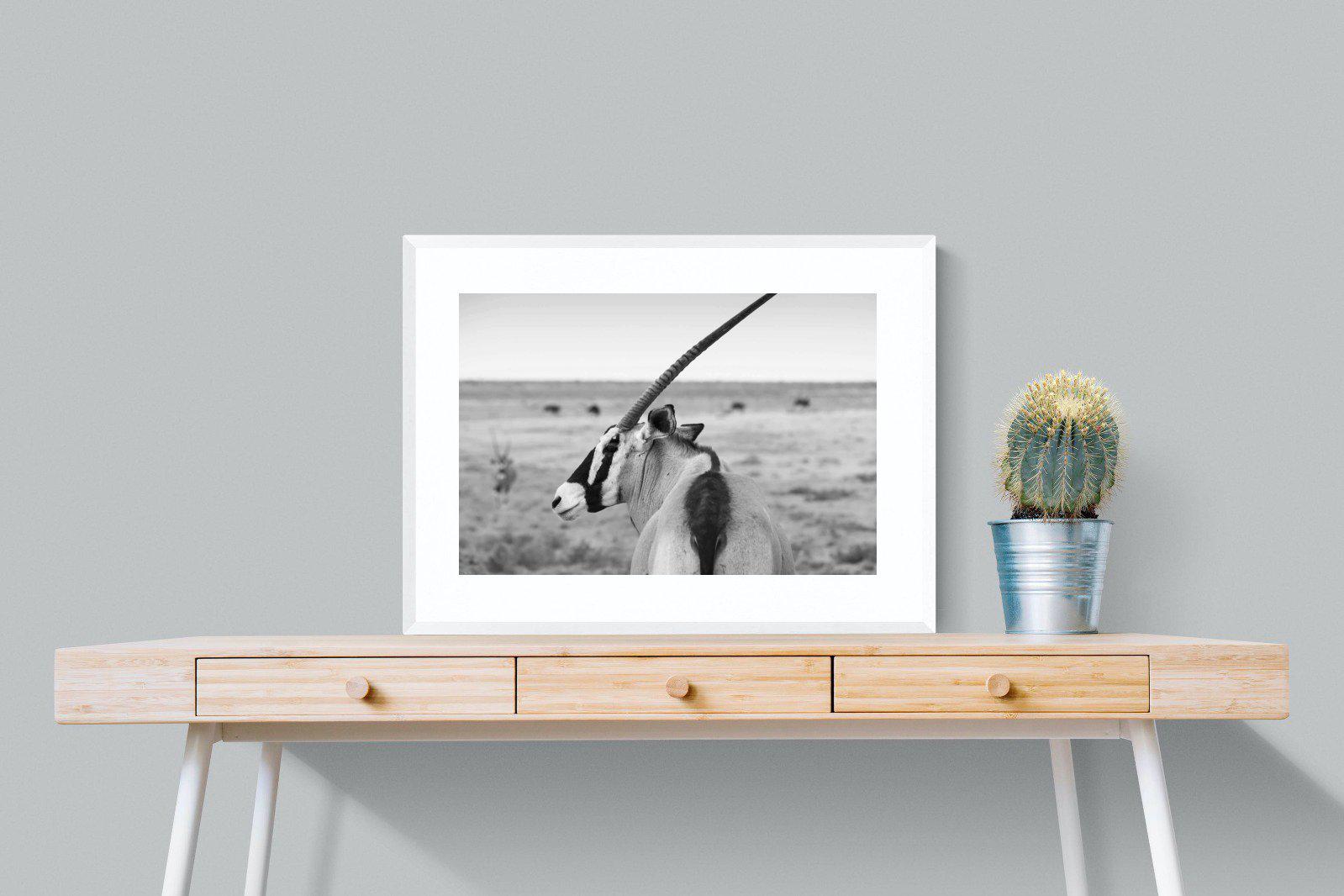 Gemsbok-Wall_Art-80 x 60cm-Framed Print-White-Pixalot