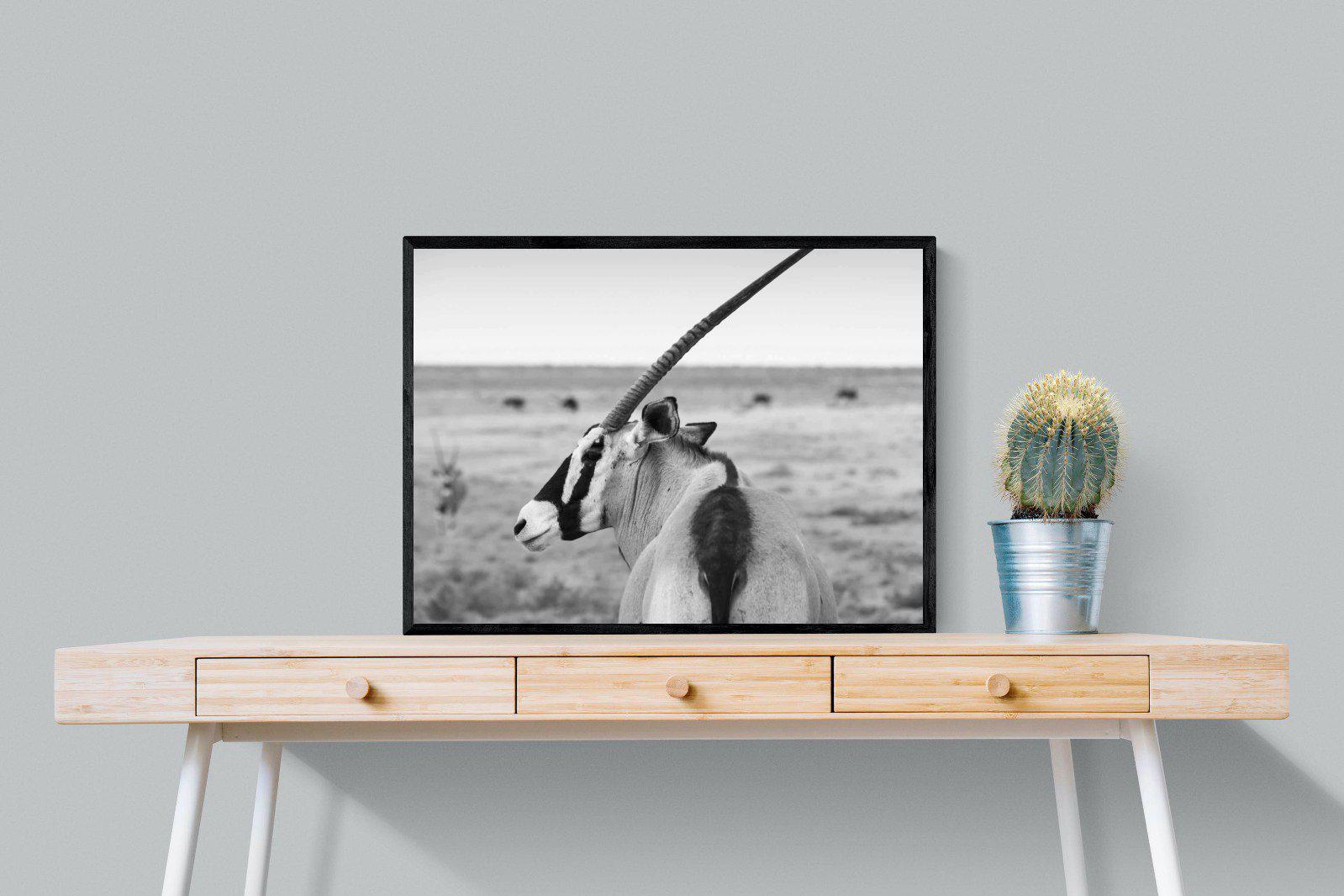 Gemsbok-Wall_Art-80 x 60cm-Mounted Canvas-Black-Pixalot