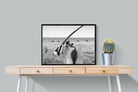 Gemsbok-Wall_Art-80 x 60cm-Mounted Canvas-Black-Pixalot