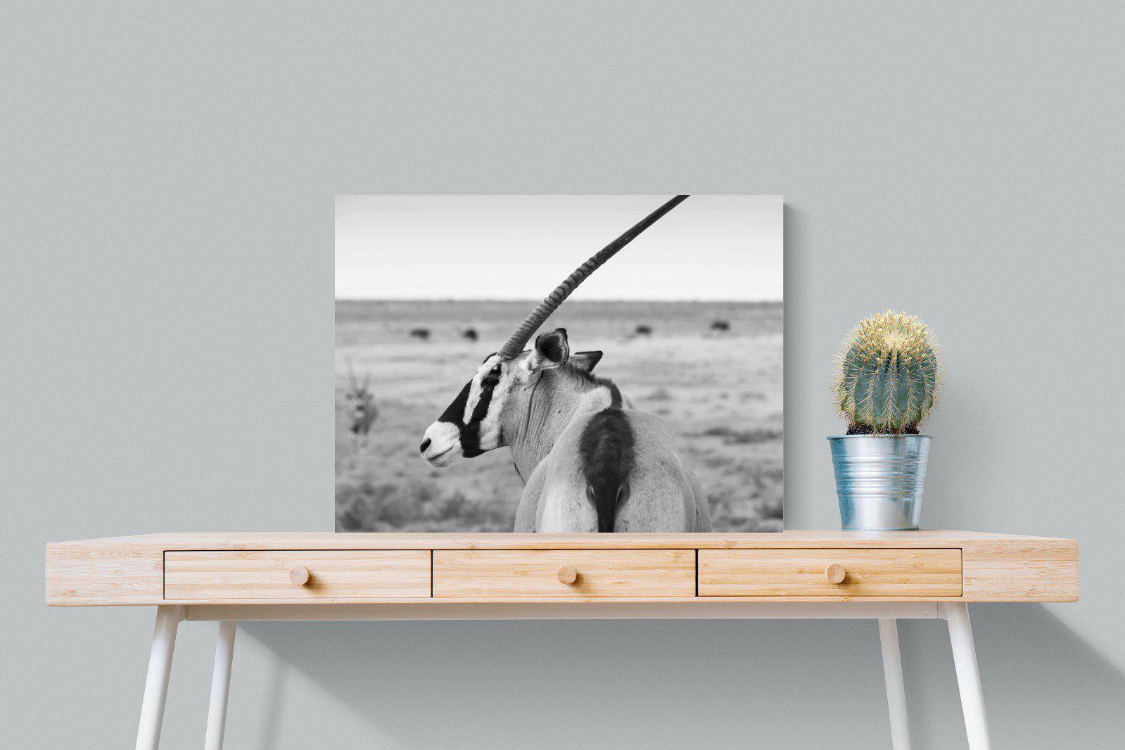 Gemsbok-Wall_Art-80 x 60cm-Mounted Canvas-No Frame-Pixalot