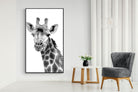 Giraffe Spa-Wall_Art-130 x 220cm-Mounted Canvas-Black-Pixalot