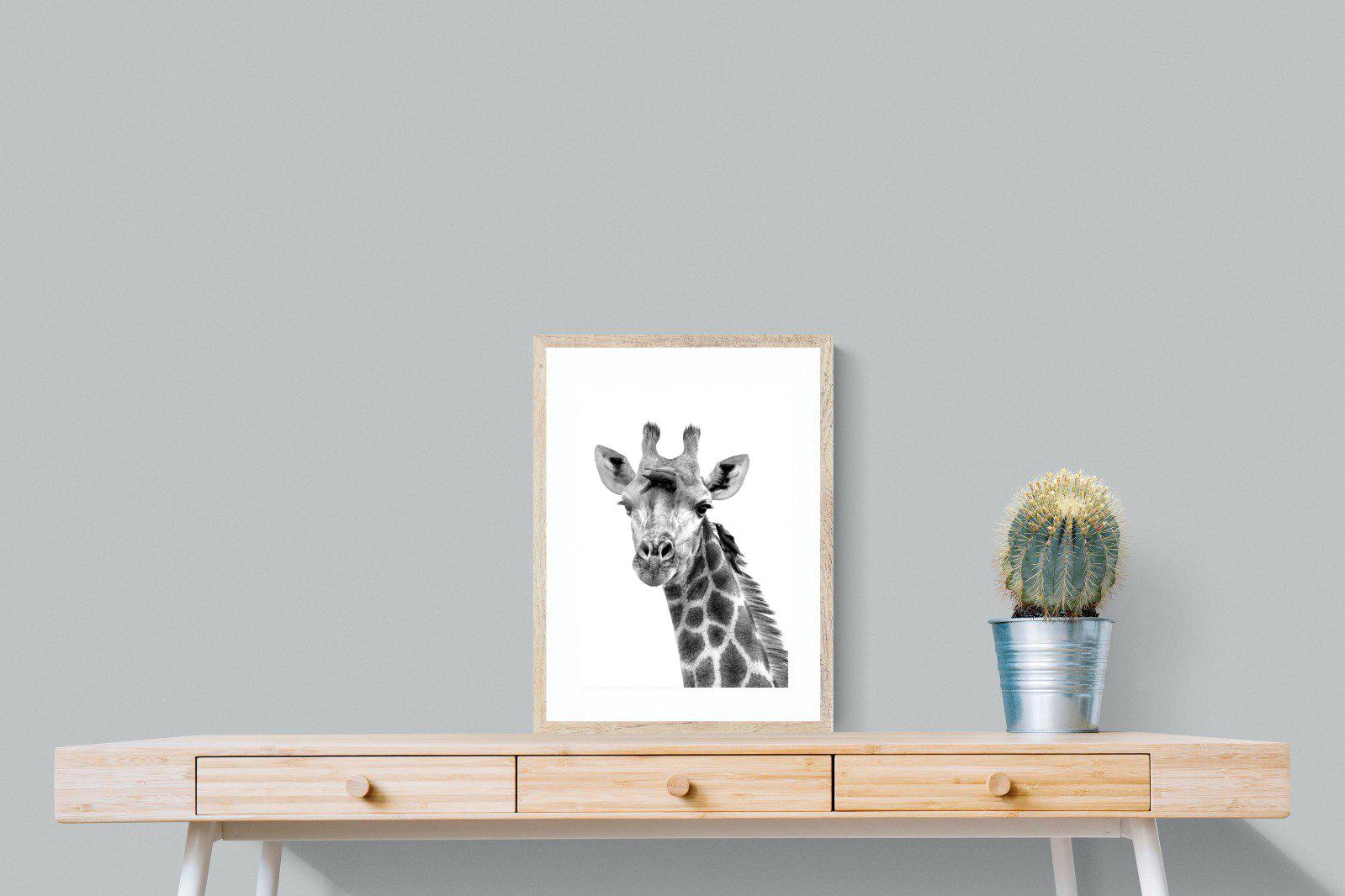 Giraffe Spa-Wall_Art-45 x 60cm-Framed Print-Wood-Pixalot