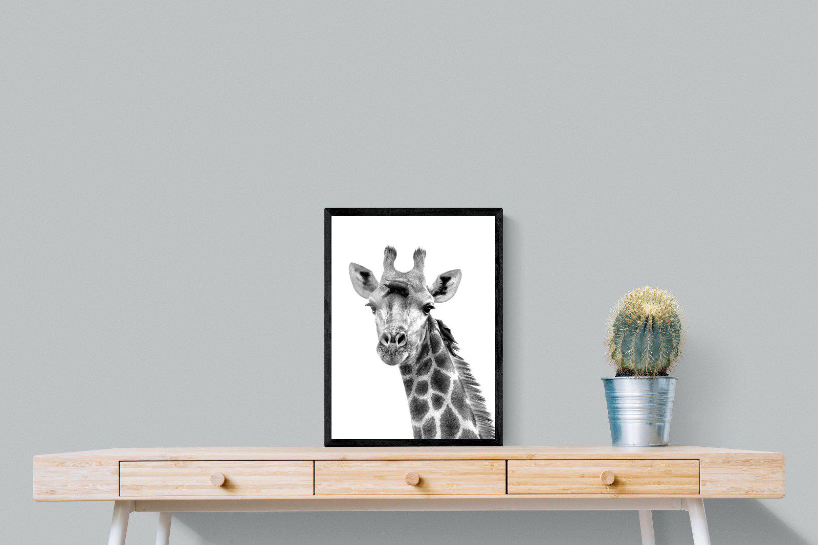 Giraffe Spa-Wall_Art-45 x 60cm-Mounted Canvas-Black-Pixalot