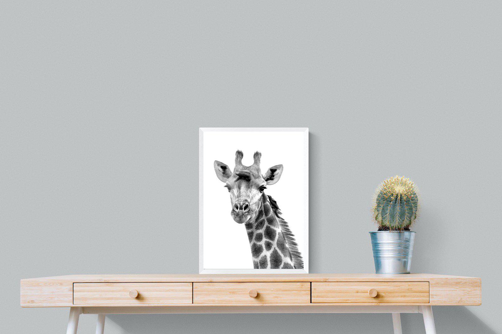 Giraffe Spa-Wall_Art-45 x 60cm-Mounted Canvas-White-Pixalot