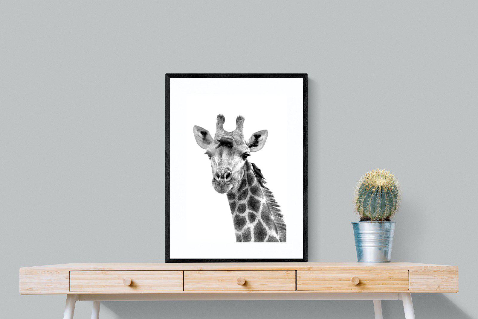 Giraffe Spa-Wall_Art-60 x 80cm-Framed Print-Black-Pixalot