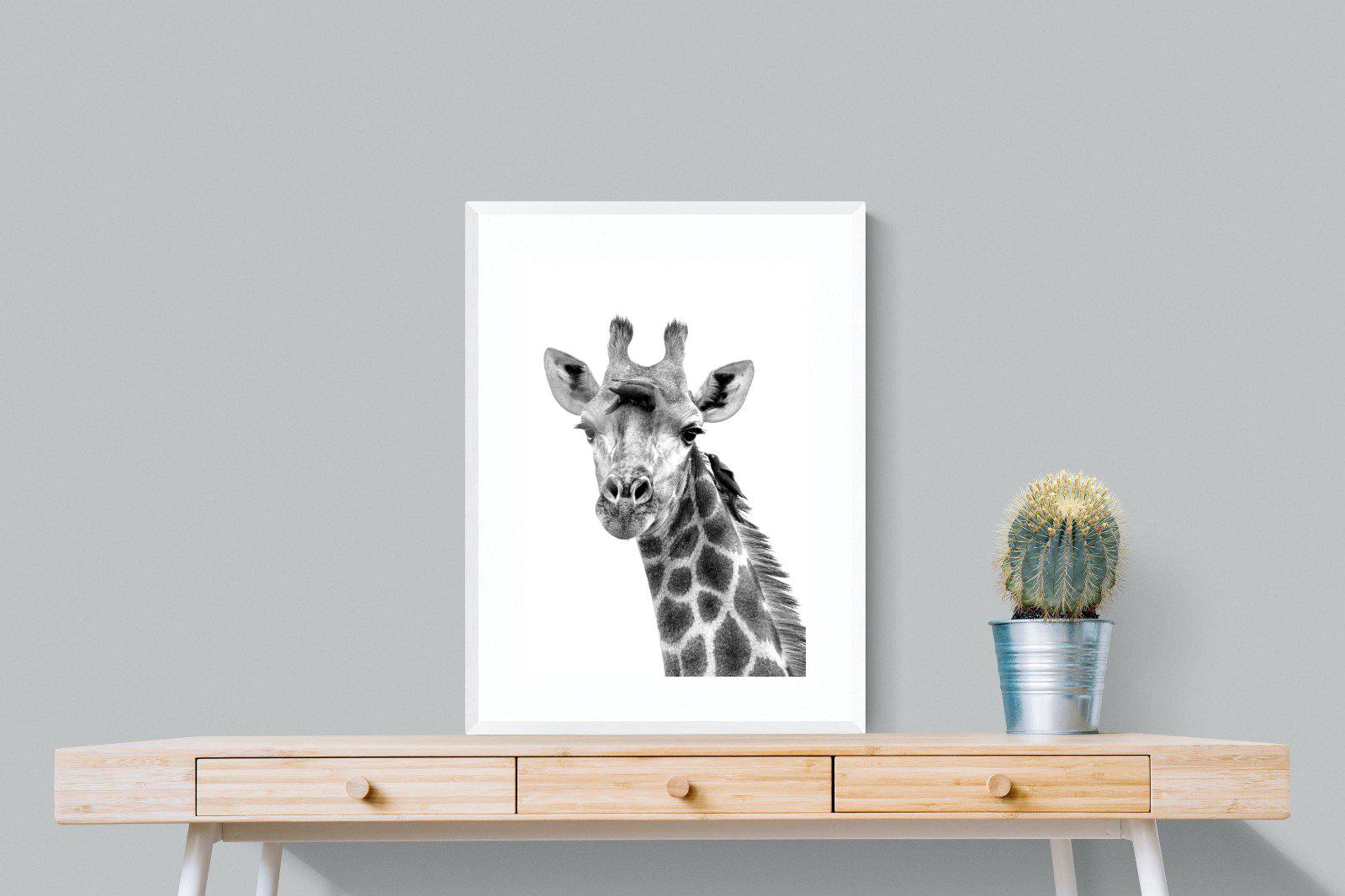 Giraffe Spa-Wall_Art-60 x 80cm-Framed Print-White-Pixalot